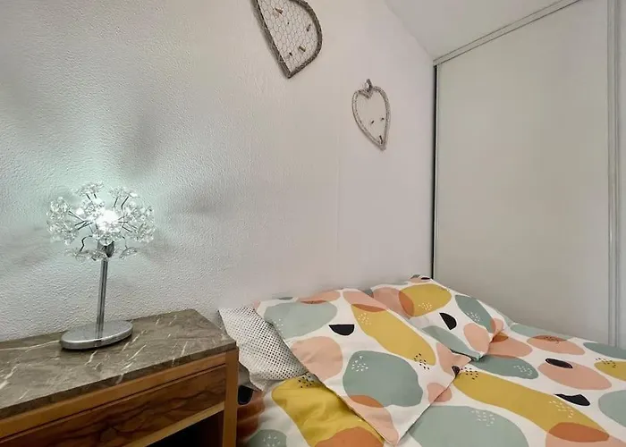 Duplex 70m2 - Vue Cite Medievale - Parking Gratuit